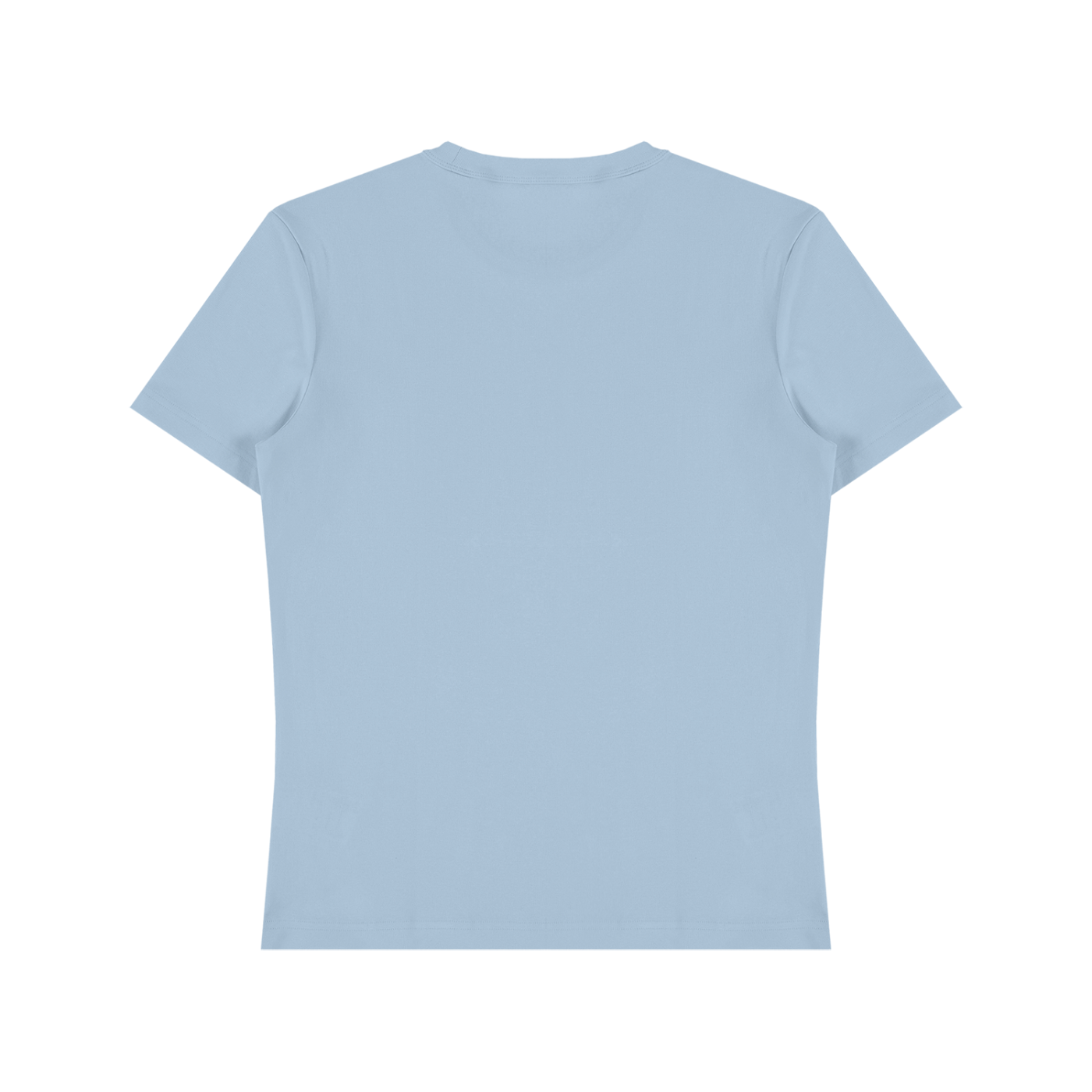 Unisex Heavyweight Cotton T-Shirt